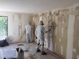 Environmental Consulting for Mold Prevention in Baywood, NY